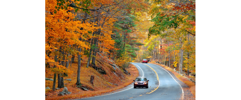 Fall Weather Safety Tips from an Injury Lawyer